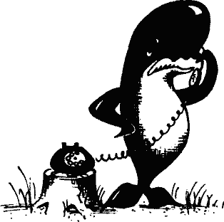 Кто похитил полдубленки? - pict_020.png