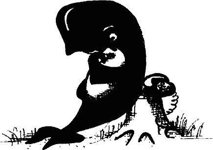 Кто похитил полдубленки? - pict_021.png