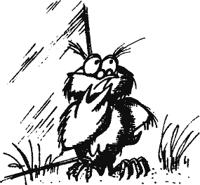 Кто похитил полдубленки? - pict_022.png