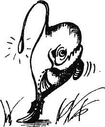 Кто похитил полдубленки? - pict_024.png