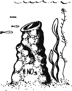 Кто похитил полдубленки? - pict_025.png