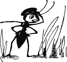 Кто похитил полдубленки? - pict_026.png