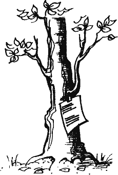 Кто похитил полдубленки? - pict_027.png