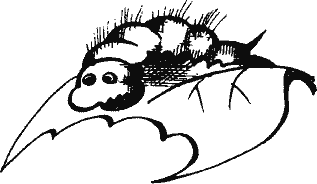 Кто похитил полдубленки? - pict_030.png