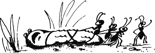 Кто похитил полдубленки? - pict_031.png