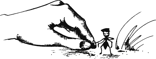 Кто похитил полдубленки? - pict_032.png