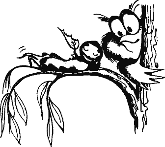 Кто похитил полдубленки? - pict_035.png