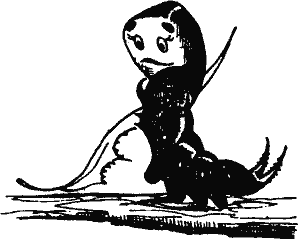 Кто похитил полдубленки? - pict_037.png