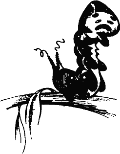 Кто похитил полдубленки? - pict_039.png