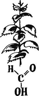 Кто похитил полдубленки? - pict_041.png