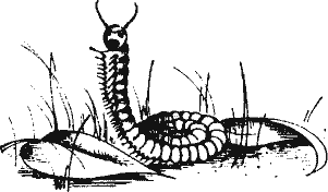 Кто похитил полдубленки? - pict_044.png