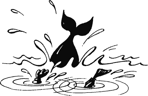 Кто похитил полдубленки? - pict_047.png