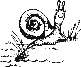 Кто похитил полдубленки? - pict_049.png