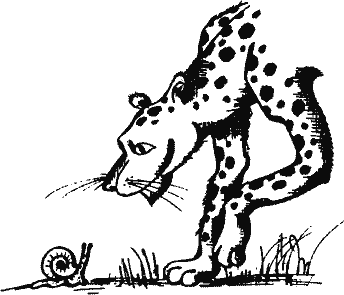 Кто похитил полдубленки? - pict_050.png