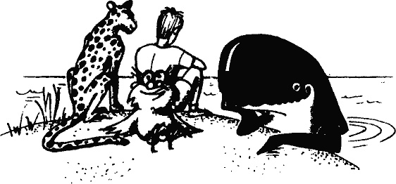 Кто похитил полдубленки? - pict_053.png