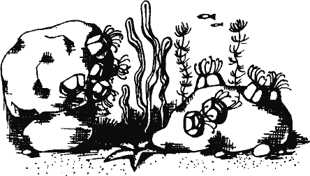 Кто похитил полдубленки? - pict_061.png