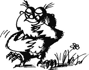 Кто похитил полдубленки? - pict_067.png