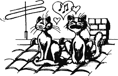 Кто похитил полдубленки? - pict_081.png