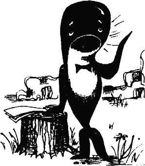 Кто похитил полдубленки? - pict_082.png