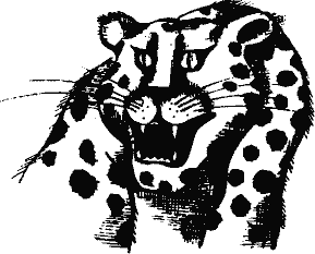 Кто похитил полдубленки? - pict_086.png