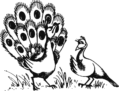 Кто похитил полдубленки? - pict_087.png