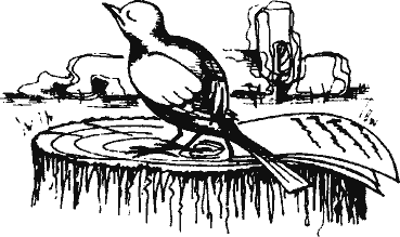 Кто похитил полдубленки? - pict_089.png