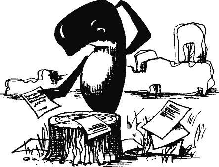 Кто похитил полдубленки? - pict_092.png