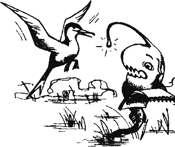 Кто похитил полдубленки? - pict_093.png