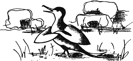 Кто похитил полдубленки? - pict_094.png