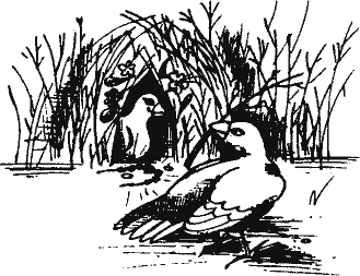 Кто похитил полдубленки? - pict_095.png