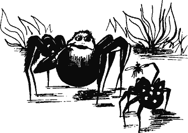 Кто похитил полдубленки? - pict_096.png