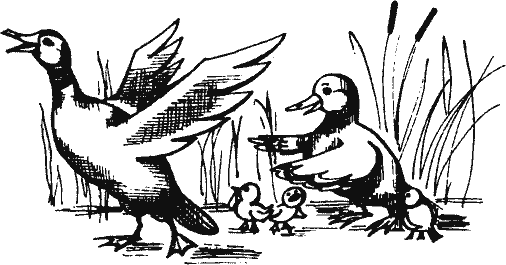 Кто похитил полдубленки? - pict_097.png