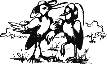 Кто похитил полдубленки? - pict_099.png