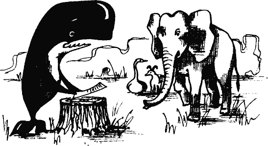 Кто похитил полдубленки? - pict_100.png