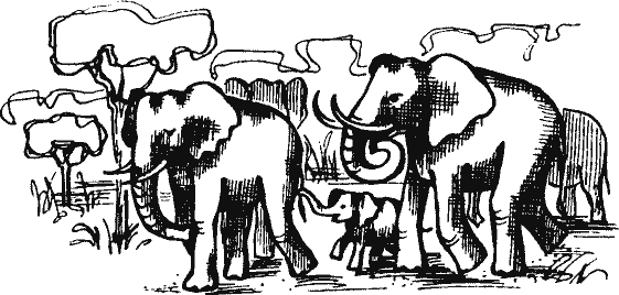 Кто похитил полдубленки? - pict_102.png