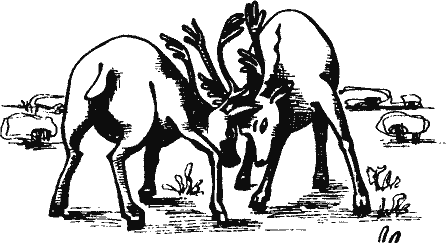 Кто похитил полдубленки? - pict_105.png