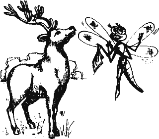 Кто похитил полдубленки? - pict_106.png