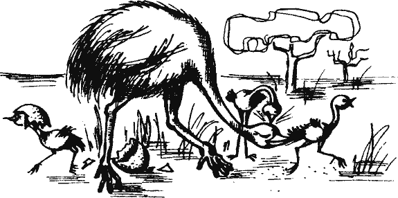 Кто похитил полдубленки? - pict_109.png