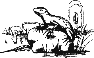 Кто похитил полдубленки? - pict_111.png