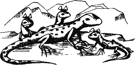 Кто похитил полдубленки? - pict_112.png