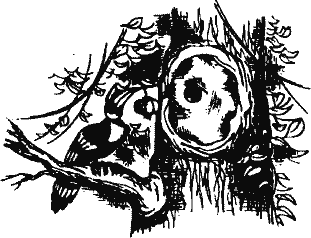 Кто похитил полдубленки? - pict_115.png