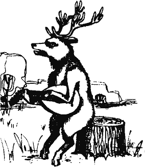 Кто похитил полдубленки? - pict_117.png