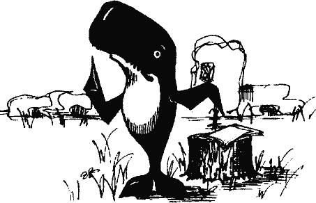 Кто похитил полдубленки? - pict_118.png