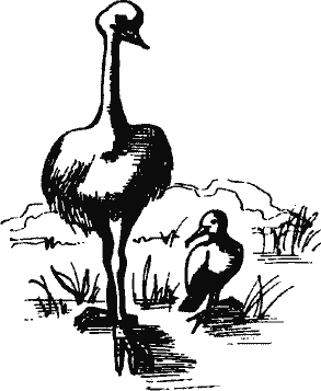 Кто похитил полдубленки? - pict_124.png