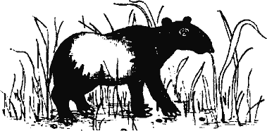 Кто похитил полдубленки? - pict_126.png