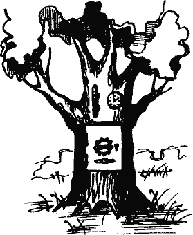 Кто похитил полдубленки? - pict_129.png