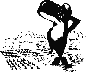 Кто похитил полдубленки? - pict_131.png