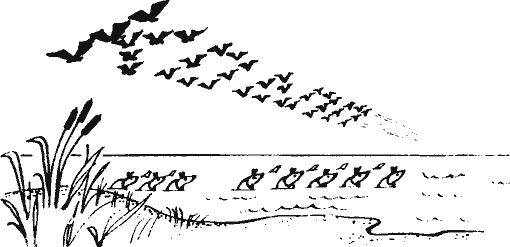 Кто похитил полдубленки? - pict_132.png