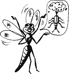 Кто похитил полдубленки? - pict_133.png