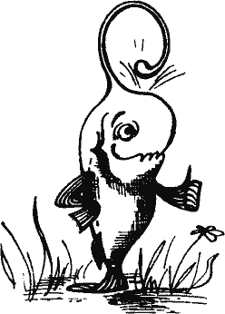 Кто похитил полдубленки? - pict_137.png